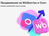 Продвижение на Wildberries и Ozon онлайн обучение