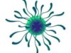 Антипаразитная программа онлайн