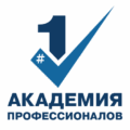 Академия профессионалов #1