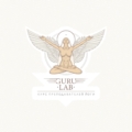 Guru-Lab
